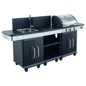 Imagen de CONJUNTO BARBACOA COOK'IN GARDEN FIDGI