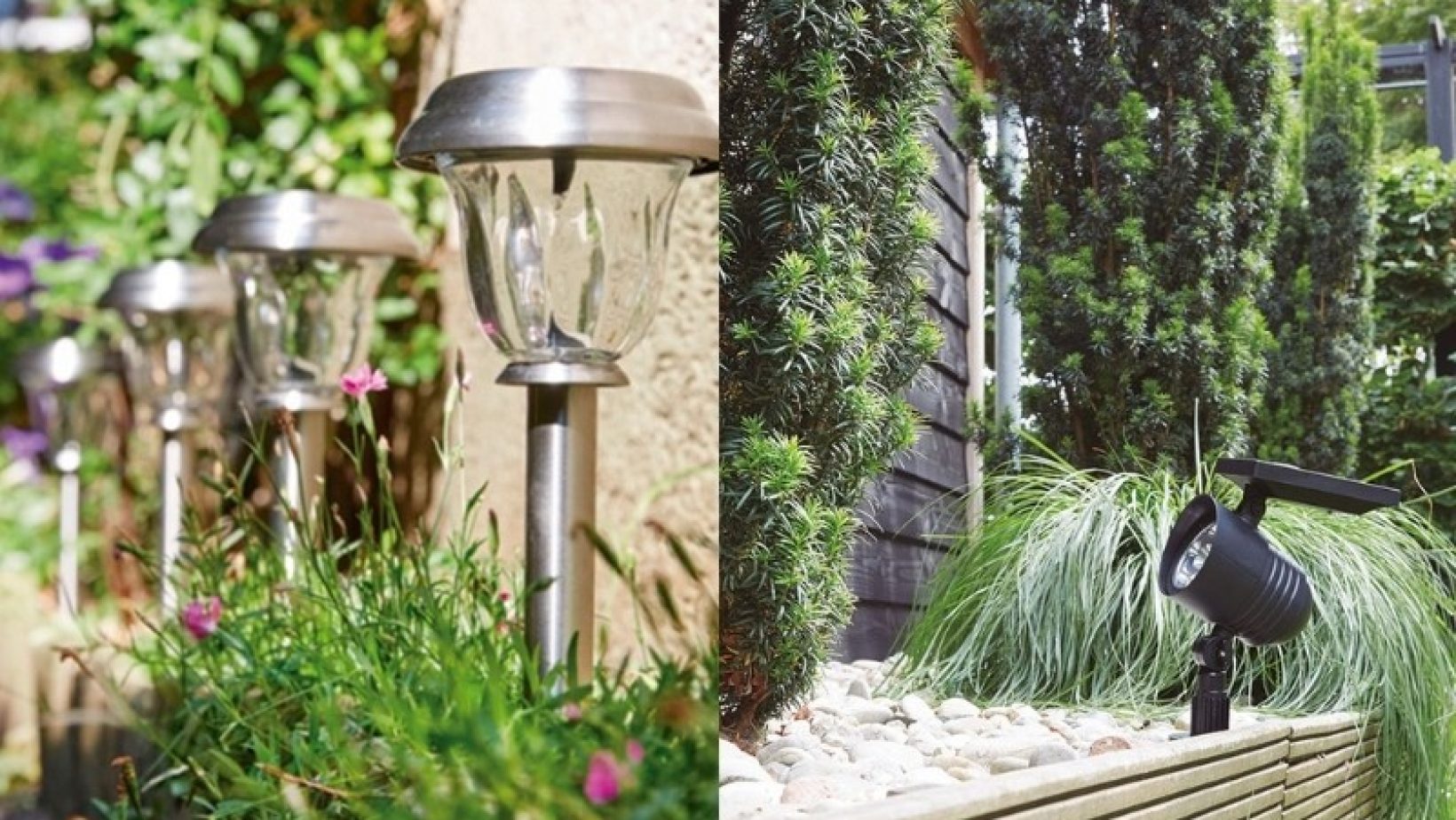 Ilumina tu jardin